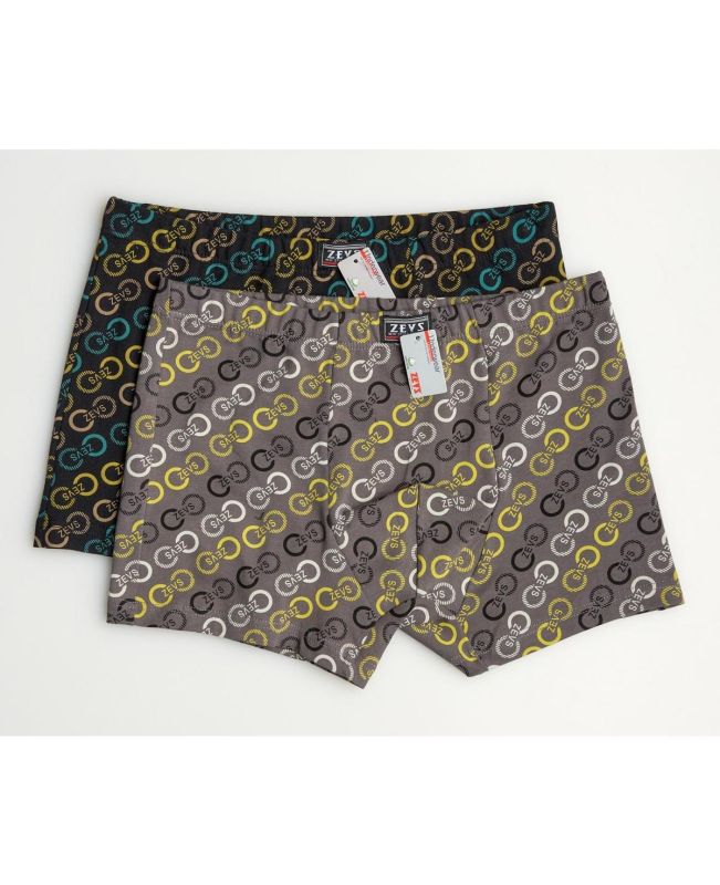 Underpants ZES 6230 (2 pcs.)