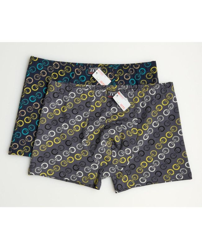 Underpants ZES 6230 (2 pcs.)