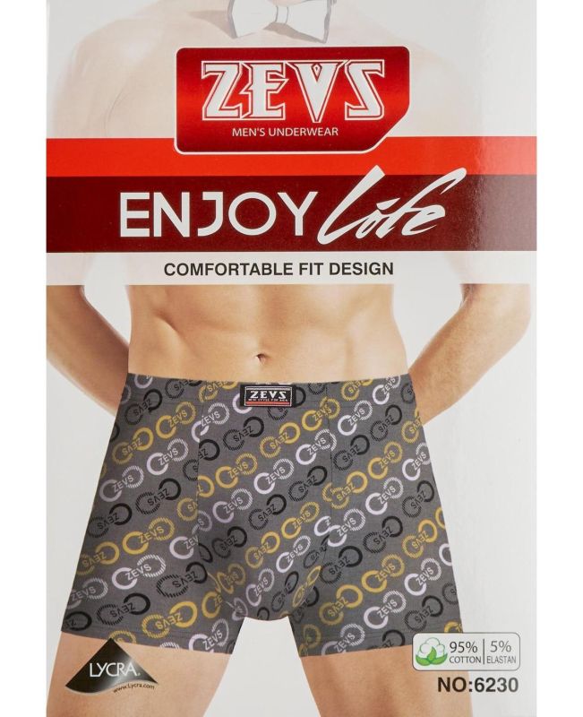 Underpants ZES 6230 (2 pcs.)