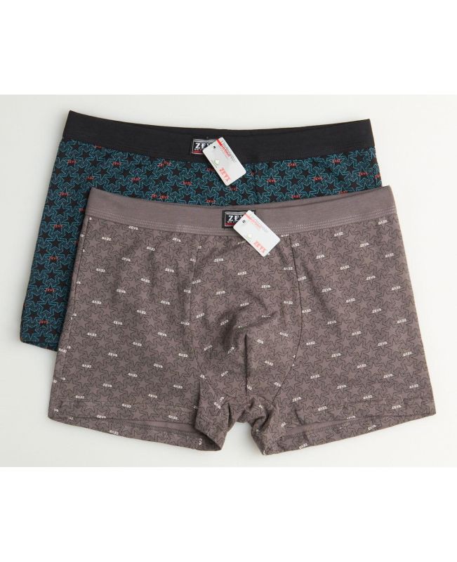 Underpants ZES 6266 (2 pcs.)