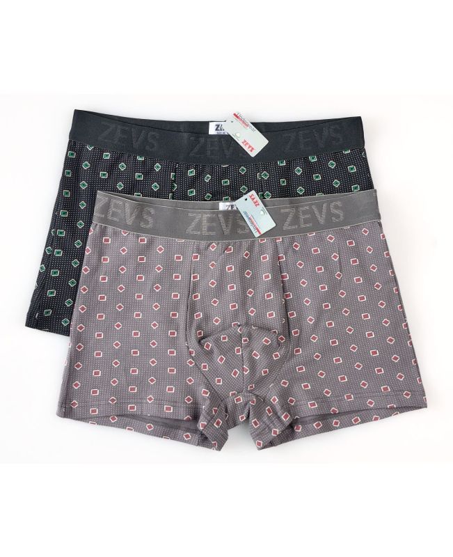 Underpants ZES 6987 (2 pcs.)