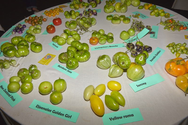 Gourds Galore! At California’s National Heirloom Expo, Autumn Vegetables Step Into The Spotlight