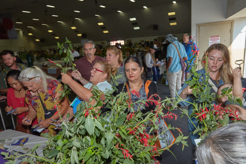 Gourds Galore! At California’s National Heirloom Expo, Autumn Vegetables Step Into The Spotlight