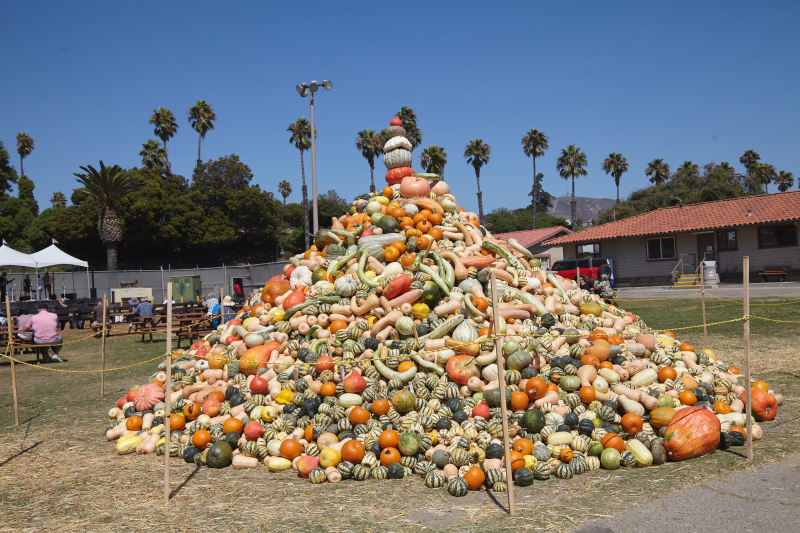 Gourds Galore! At California’s National Heirloom Expo, Autumn Vegetables Step Into The Spotlight