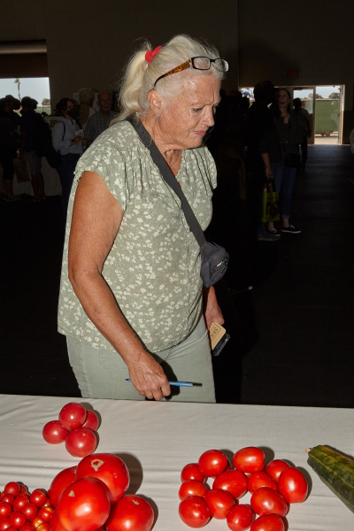 Gourds Galore! At California’s National Heirloom Expo, Autumn Vegetables Step Into The Spotlight