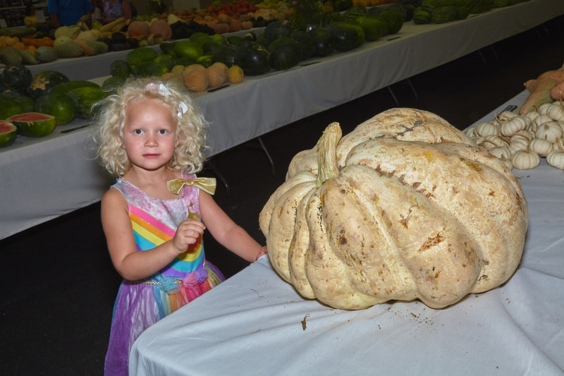 Gourds Galore! At California’s National Heirloom Expo, Autumn Vegetables Step Into The Spotlight