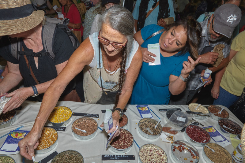 Gourds Galore! At California’s National Heirloom Expo, Autumn Vegetables Step Into The Spotlight